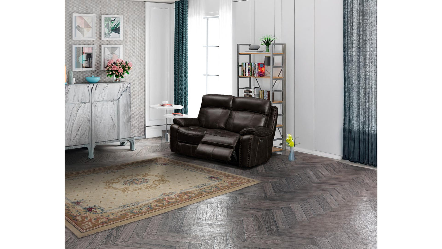 Zoya Power Recliner Loveseat